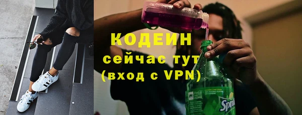 хмурый Лагань
