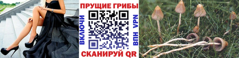 Галлюциногенные грибы GOLDEN TEACHER  Ханты-Мансийск 