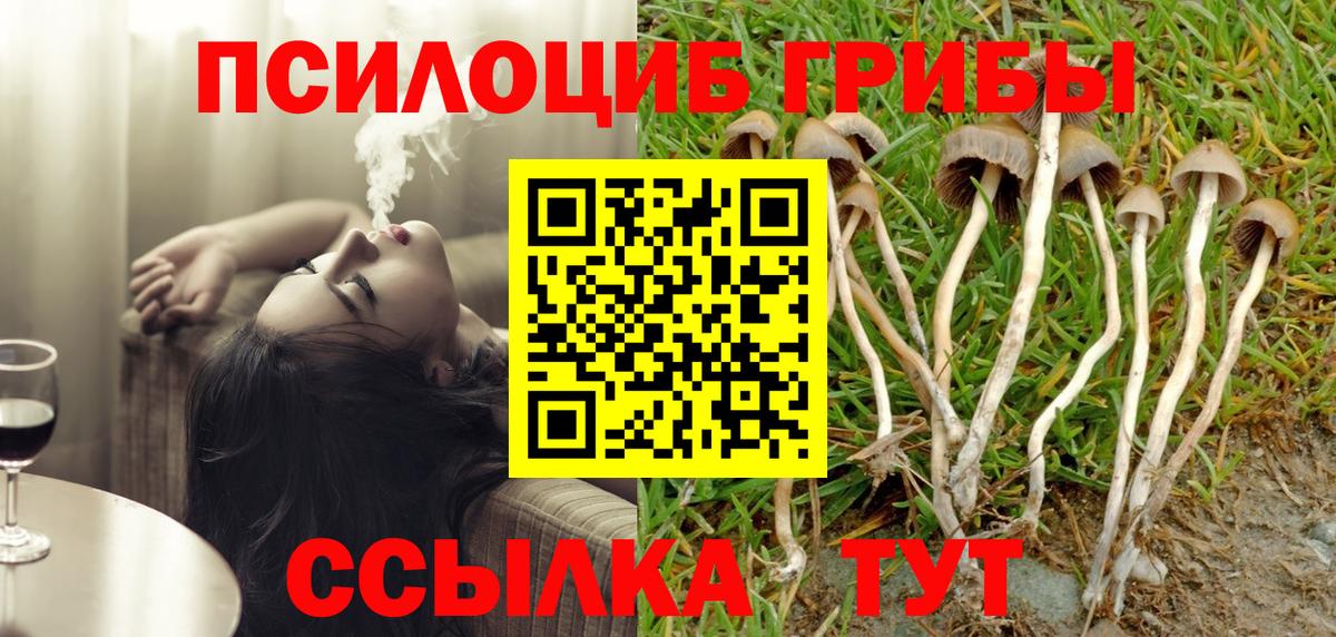 Галлюциногенные грибы прущие грибы Ханты-Мансийск