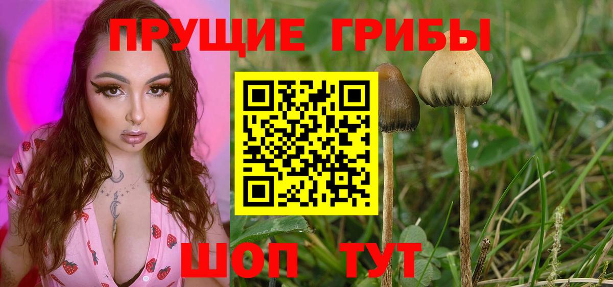 Ханты-Мансийск  Галлюциногенные грибы мицелий  Вход с VPN 
